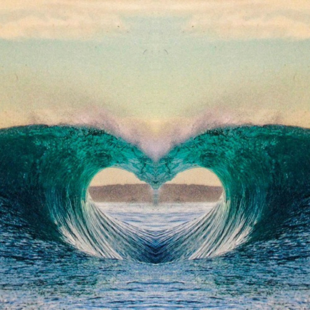 Meet your Posher, Audrey